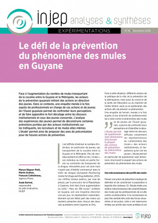 Le déﬁ de la prévention du phénomène des mules en Guyane